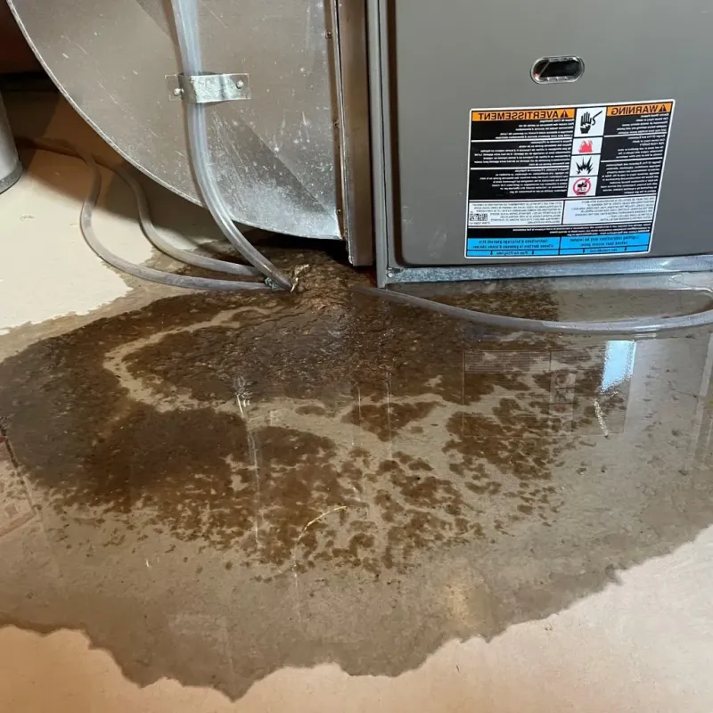 Pipe Burst and Leak Restoration in Gruetli-Laager, TN