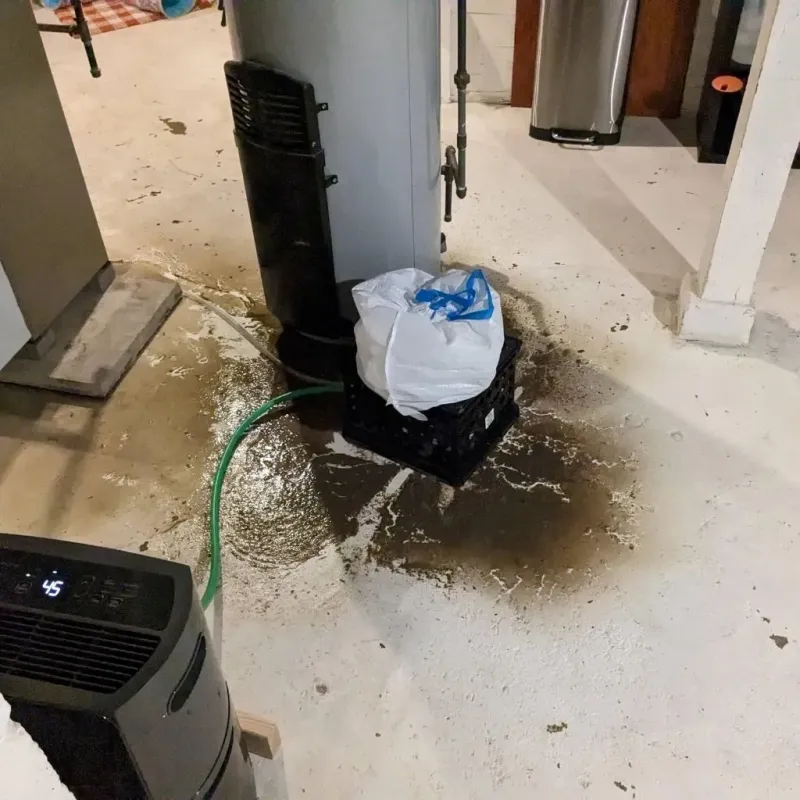 Sewage Backup Cleanup Service in Gruetli-Laager, TN